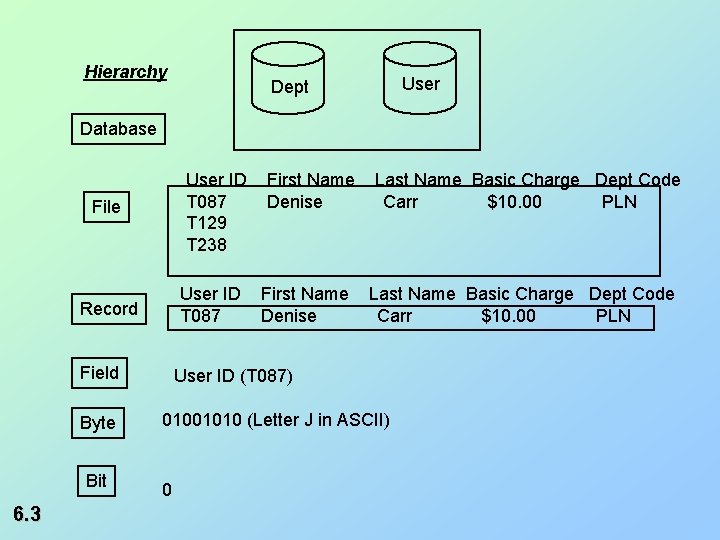 Hierarchy User Dept Database User ID T 087 T 129 T 238 File User