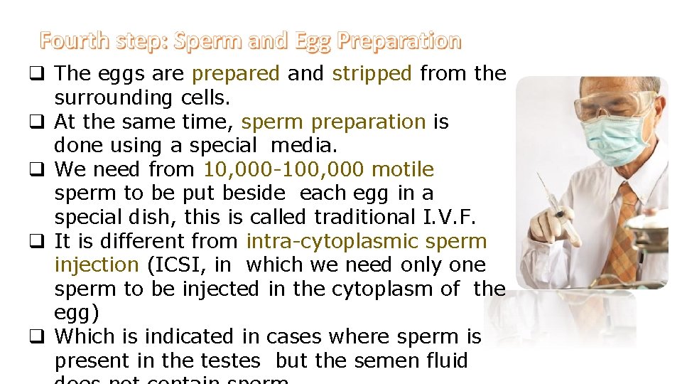  The eggs are prepared and stripped from the surrounding cells. At the same