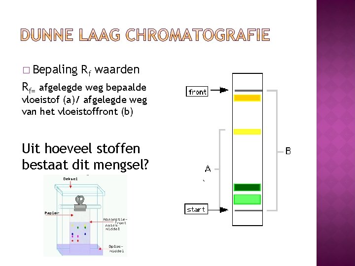 � Bepaling Rf waarden Rf= afgelegde weg bepaalde vloeistof (a)/ afgelegde weg van het