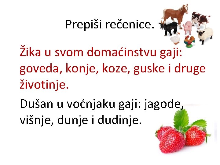 Prepiši rečenice. Žika u svom domaćinstvu gaji: goveda, konje, koze, guske i druge životinje.