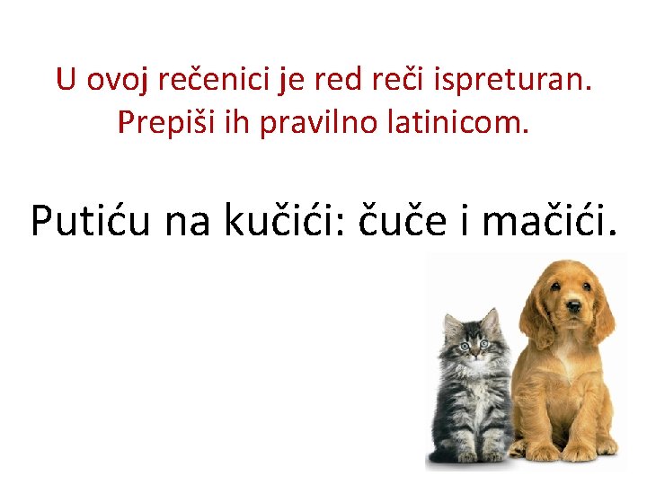 U ovoj rečenici je red reči ispreturan. Prepiši ih pravilno latinicom. Putiću na kučići: