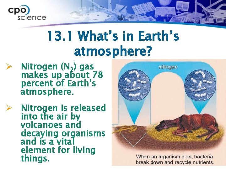 13. 1 What’s in Earth’s atmosphere? Ø Nitrogen (N 2) gas makes up about