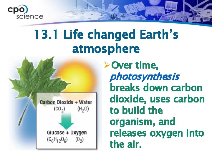 13. 1 Life changed Earth’s atmosphere ØOver time, photosynthesis breaks down carbon dioxide, uses