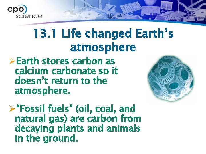 13. 1 Life changed Earth’s atmosphere ØEarth stores carbon as calcium carbonate so it