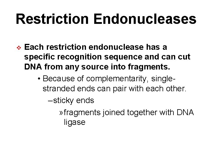 Restriction Endonucleases v Each restriction endonuclease has a specific recognition sequence and can cut