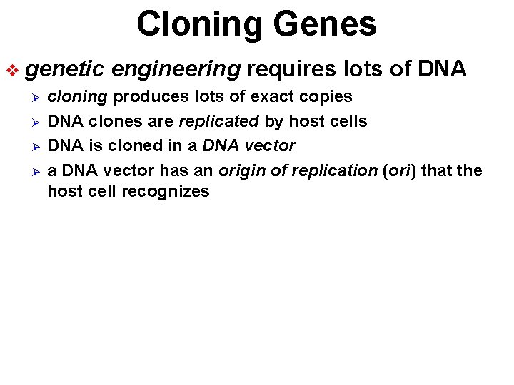 Cloning Genes v genetic Ø Ø engineering requires lots of DNA cloning produces lots