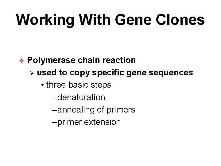 Working With Gene Clones v Polymerase chain reaction Ø used to copy specific gene