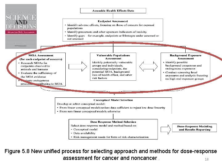 Figure 5. 8 New unified process for selecting approach and methods for dose-response assessment