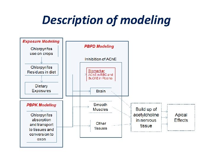 Description of modeling 