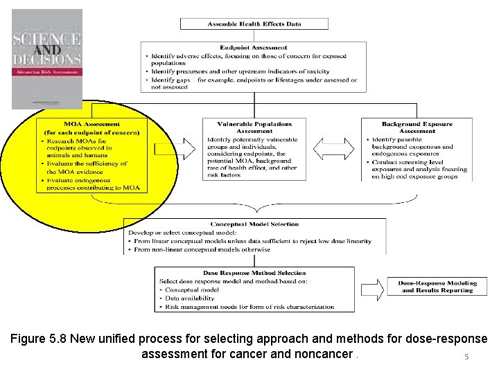 Figure 5. 8 New unified process for selecting approach and methods for dose-response assessment
