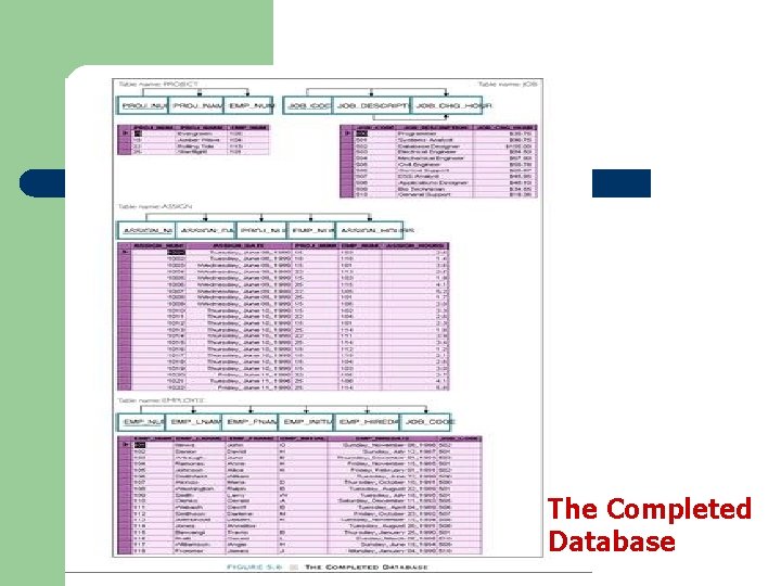 The Completed Database 