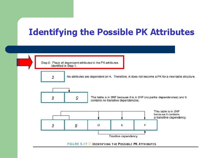 Identifying the Possible PK Attributes Identifying the Possible PK Attributes