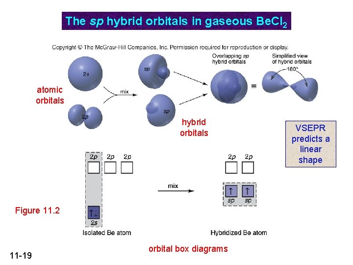 The sp hybrid orbitals in gaseous Be. Cl 2 atomic orbitals hybrid orbitals Figure