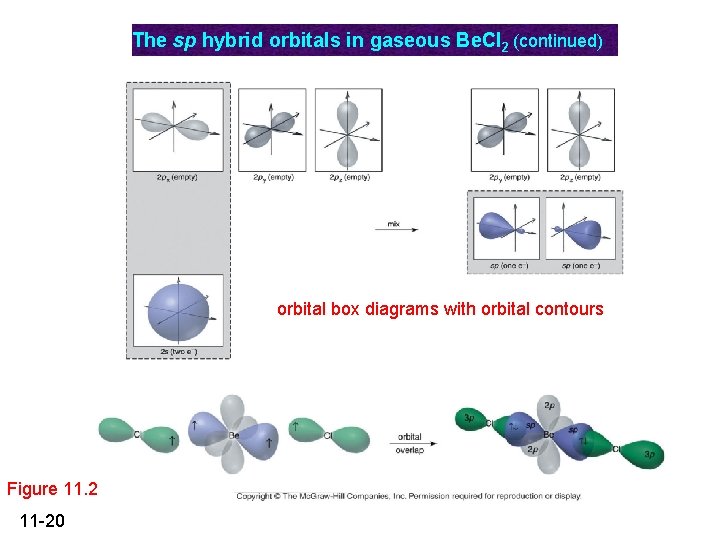 The sp hybrid orbitals in gaseous Be. Cl 2 (continued) orbital box diagrams with