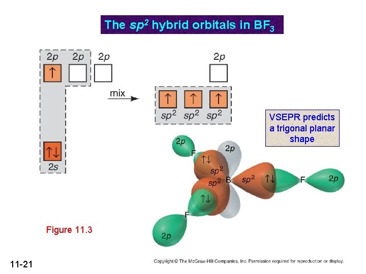 The sp 2 hybrid orbitals in BF 3 VSEPR predicts a trigonal planar shape