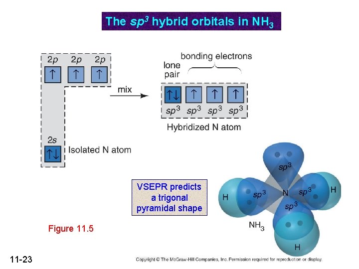 The sp 3 hybrid orbitals in NH 3 VSEPR predicts a trigonal pyramidal shape