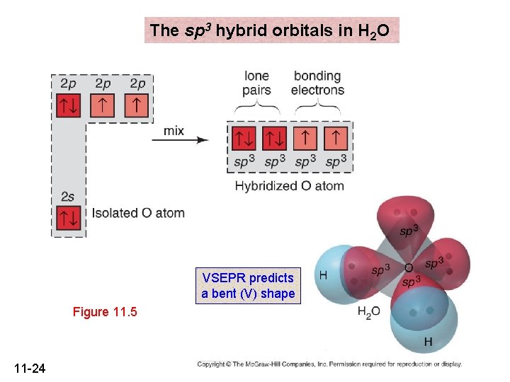 The sp 3 hybrid orbitals in H 2 O VSEPR predicts a bent (V)