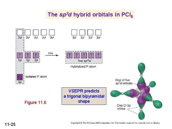 The sp 3 d hybrid orbitals in PCl 5 Figure 11. 6 11 -25