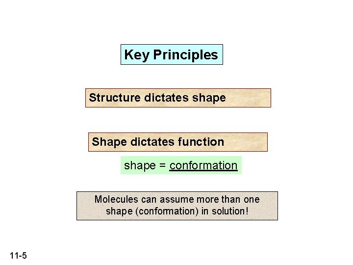 Key Principles Structure dictates shape Shape dictates function shape = conformation Molecules can assume