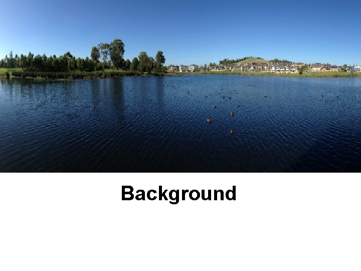 Background 