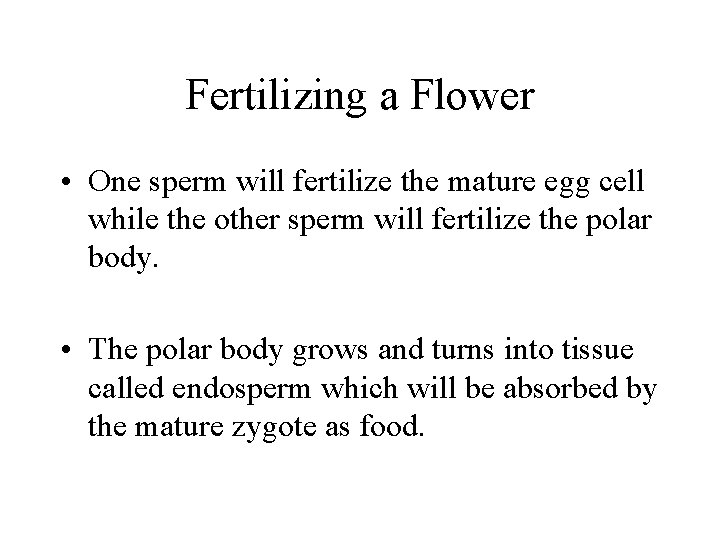 Fertilizing a Flower • One sperm will fertilize the mature egg cell while the