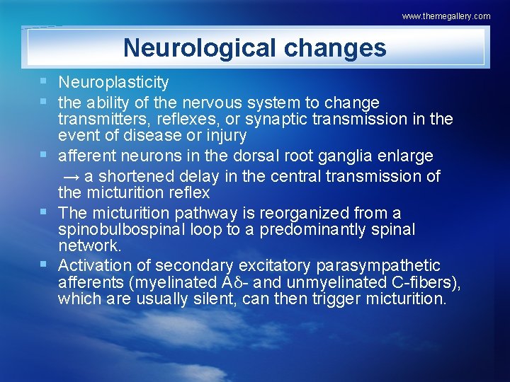 www. themegallery. com Neurological changes § Neuroplasticity § the ability of the nervous system
