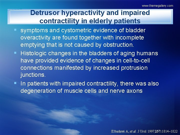 www. themegallery. com Detrusor hyperactivity and impaired contractility in elderly patients § symptoms and