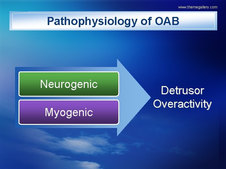 www. themegallery. com Pathophysiology of OAB Neurogenic Myogenic Detrusor Overactivity 