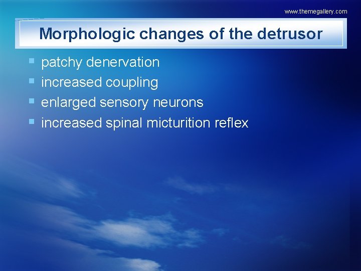 www. themegallery. com Morphologic changes of the detrusor § § patchy denervation increased coupling