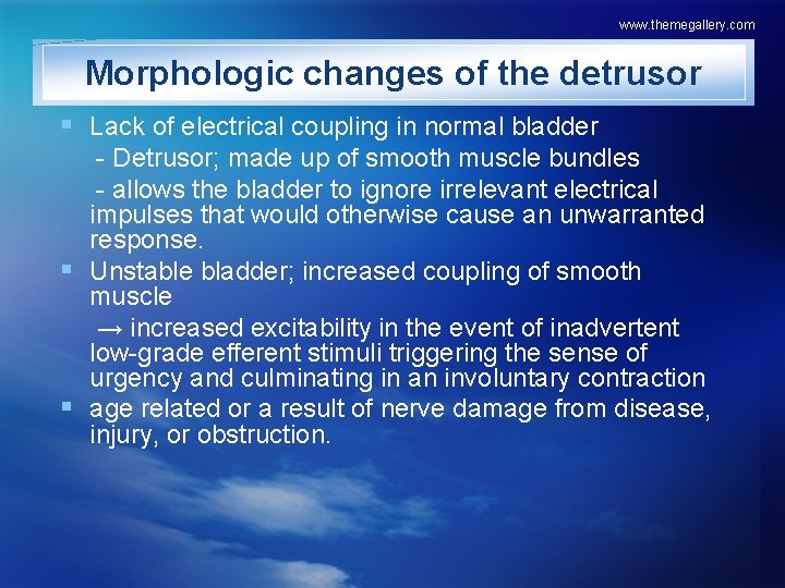 www. themegallery. com Morphologic changes of the detrusor § Lack of electrical coupling in