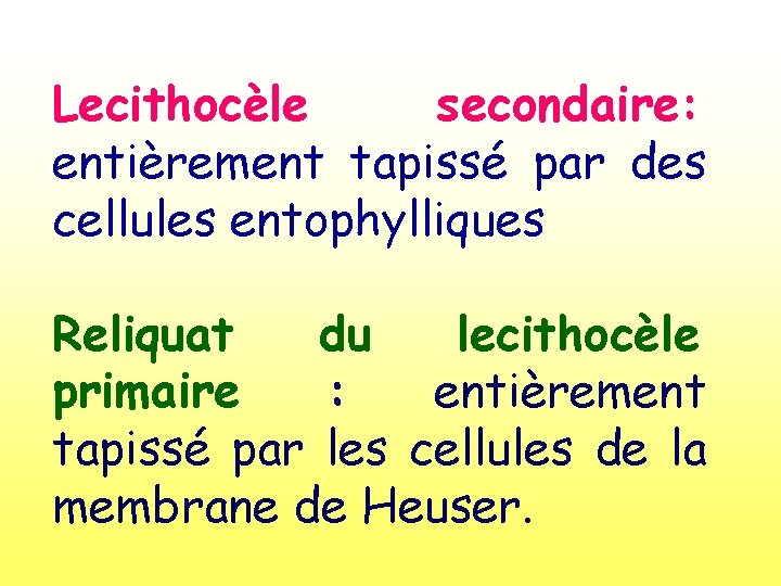 Lecithocèle secondaire: entièrement tapissé par des cellules entophylliques Reliquat du lecithocèle primaire : entièrement