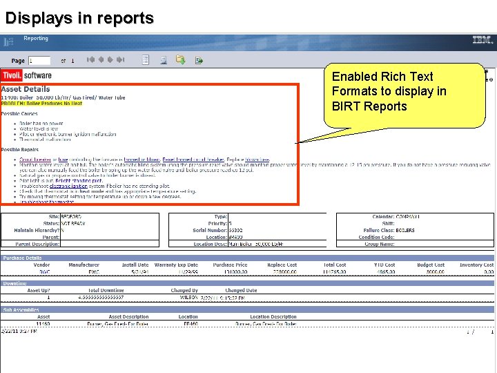 Displays in reports IBM Maximo Briefing Enabled Rich Text Formats to display in BIRT