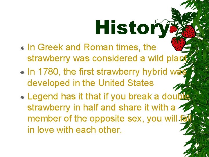 History In Greek and Roman times, the strawberry was considered a wild plant. In