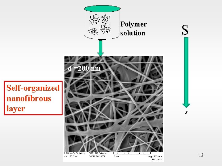 Polymer solution S d =200 nm Self-organized nanofibrous layer s 12 12 