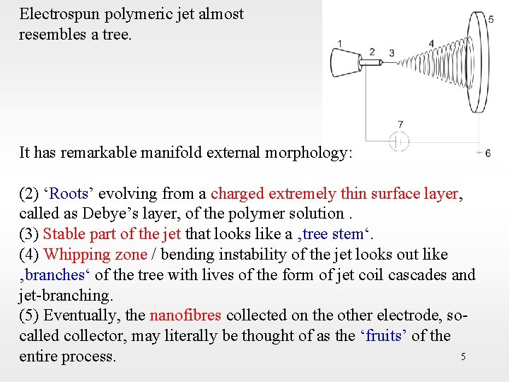 Electrospun polymeric jet almost resembles a tree. It has remarkable manifold external morphology: (2)