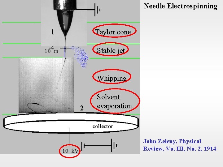 Needle Electrospinning 1 Taylor cone Stable jet Whipping 2 Solvent evaporation John Zeleny, Physical