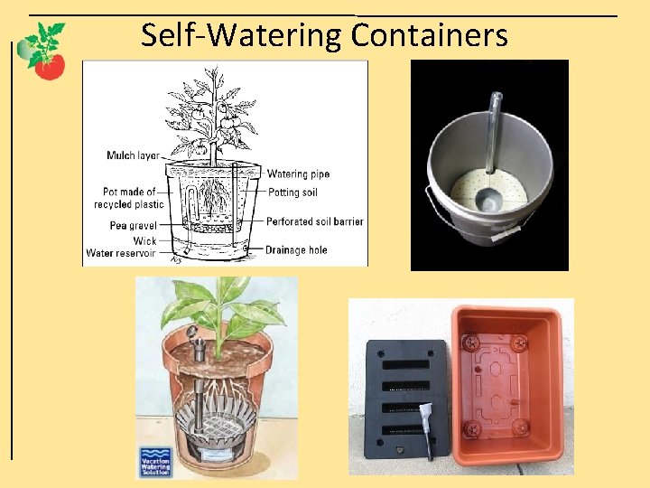 Self-Watering Containers 