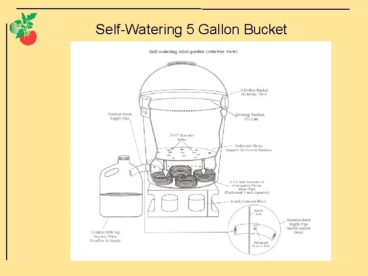 Self-Watering 5 Gallon Bucket 