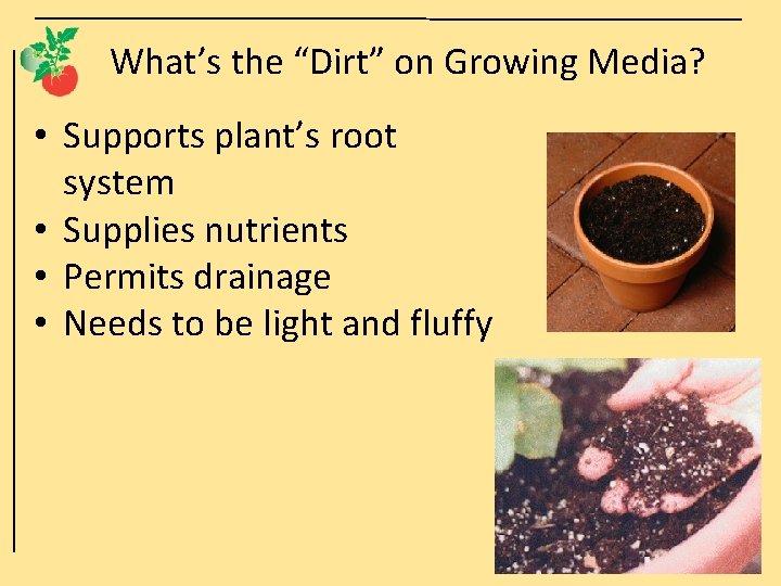 What’s the “Dirt” on Growing Media? • Supports plant’s root system • Supplies nutrients