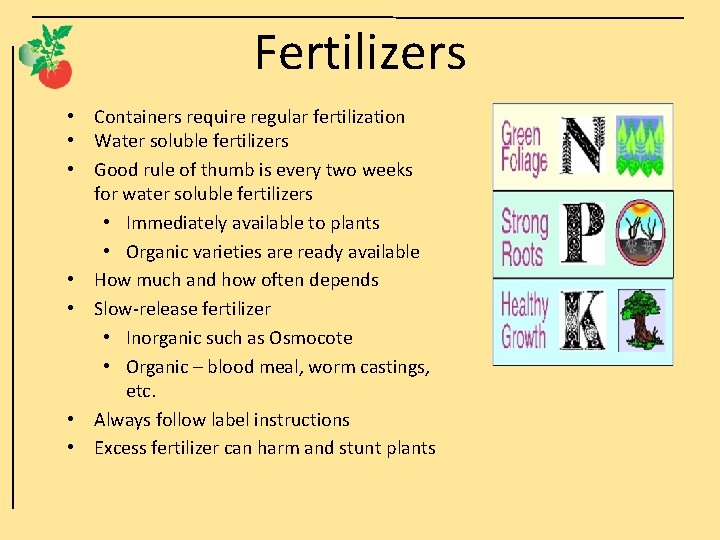 Fertilizers • Containers require regular fertilization • Water soluble fertilizers • Good rule of