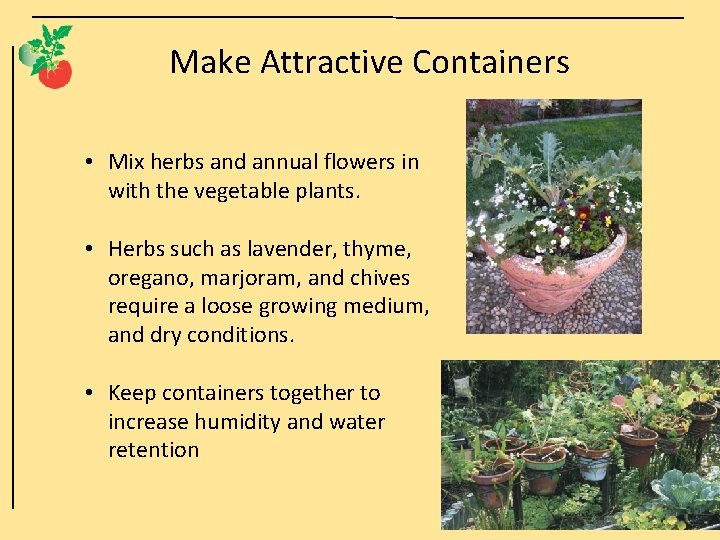 Make Attractive Containers • Mix herbs and annual flowers in with the vegetable plants.