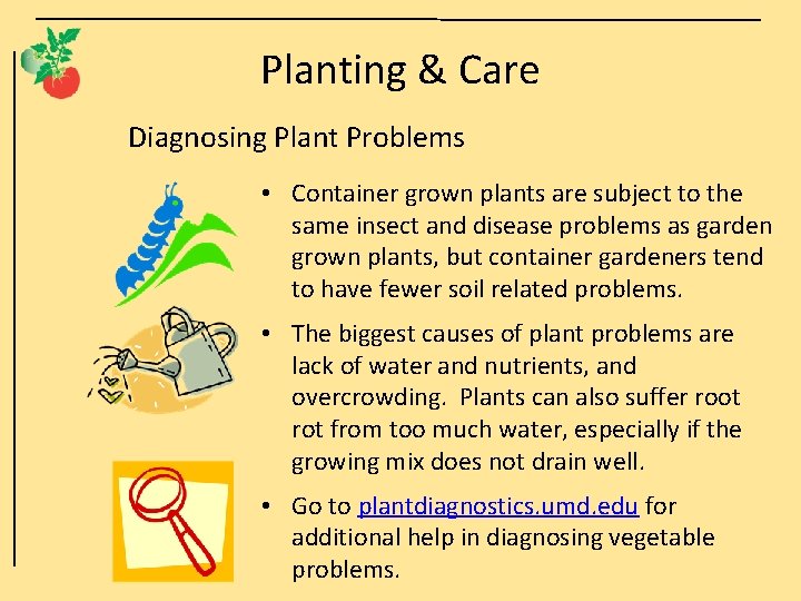 Planting & Care Diagnosing Plant Problems • Container grown plants are subject to the