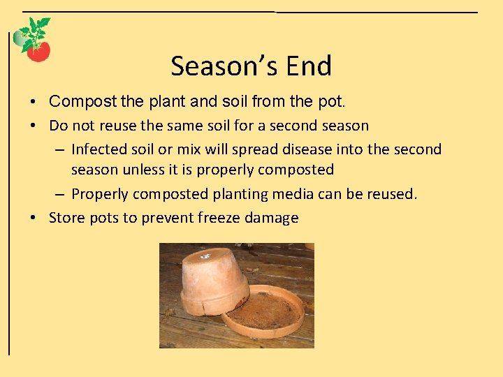 Season’s End • Compost the plant and soil from the pot. • Do not
