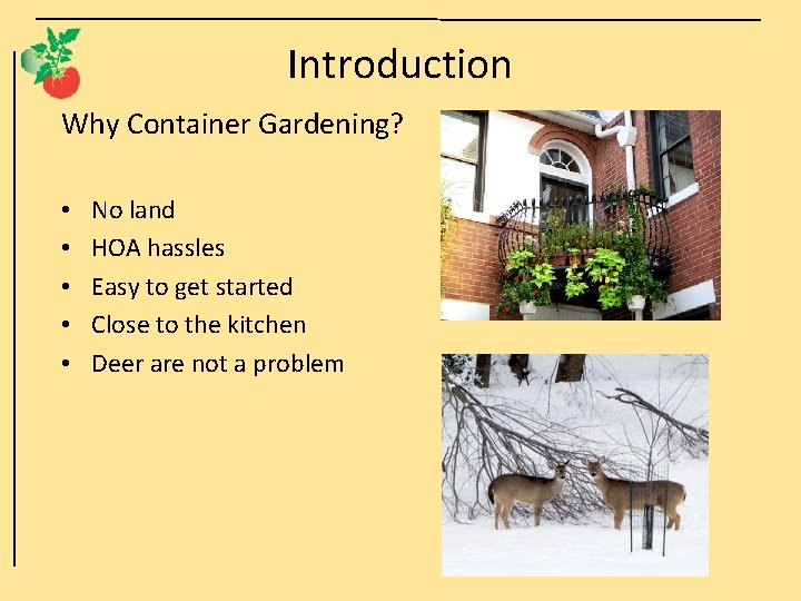 Introduction Why Container Gardening? • • • No land HOA hassles Easy to get