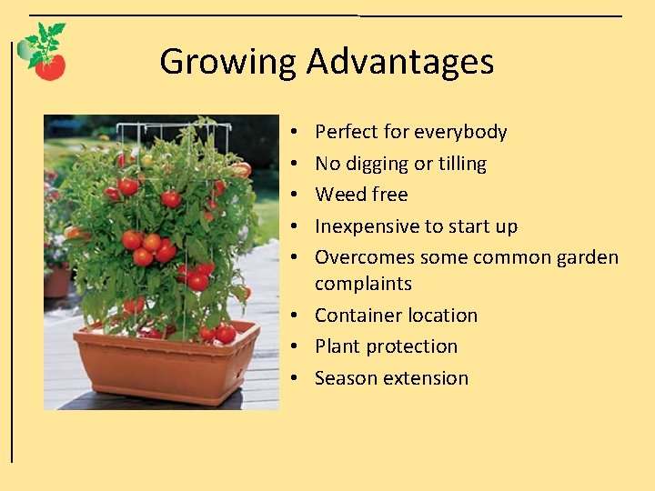 Growing Advantages Perfect for everybody No digging or tilling Weed free Inexpensive to start