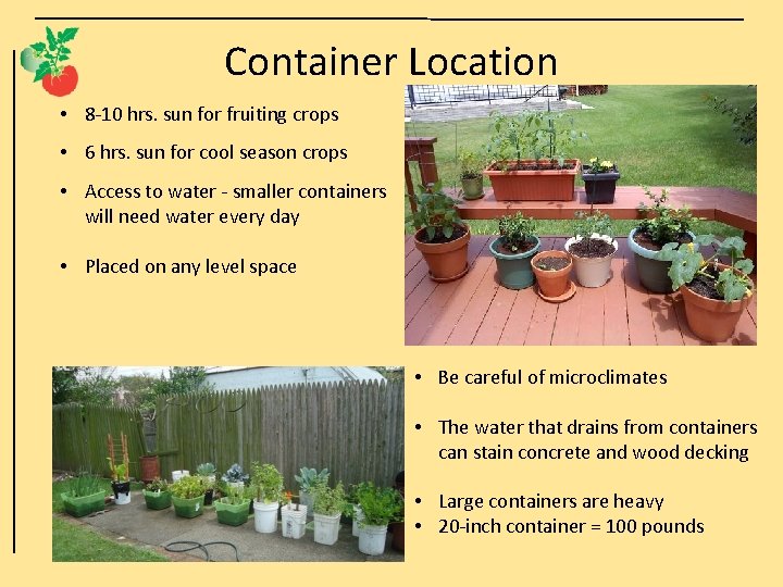 Container Location • 8 -10 hrs. sun for fruiting crops • 6 hrs. sun