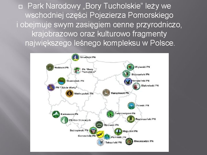 Park Narodowy „Bory Tucholskie” leży we wschodniej części Pojezierza Pomorskiego i obejmuje swym zasięgiem