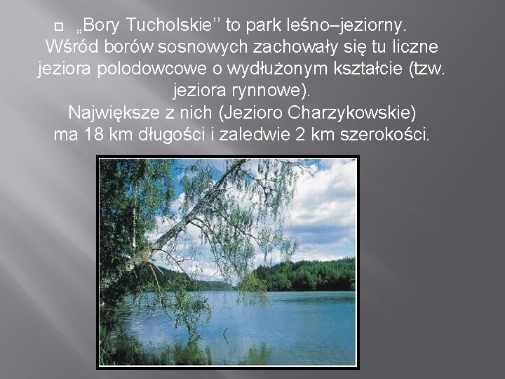 „Bory Tucholskie’’ to park leśno–jeziorny. Wśród borów sosnowych zachowały się tu liczne jeziora polodowcowe
