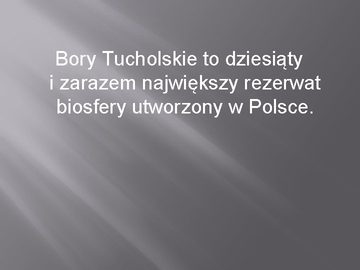 Bory Tucholskie to dziesiąty i zarazem największy rezerwat biosfery utworzony w Polsce. 