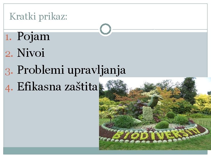 Kratki prikaz: 1. Pojam 2. Nivoi 3. Problemi upravljanja 4. Efikasna zaštita 